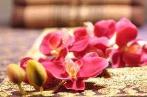 Erotische Massage in Nürnberg - Blumenthai